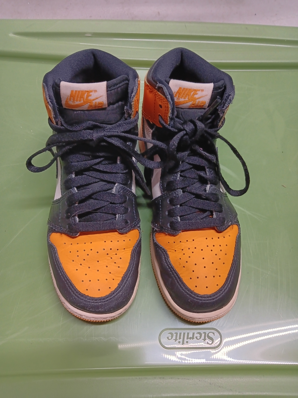 Nike SB Jordan 1s